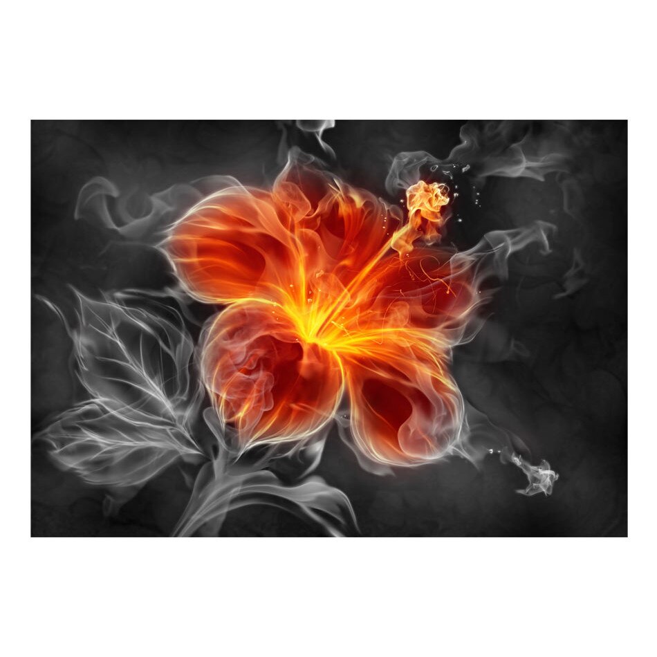 Fototapet vlies - Floare aprinsa In interiorul fumului - 400 x 280 cm