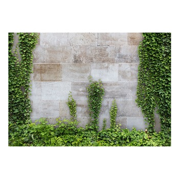 Fototapet vlies vlies - Gradina Uitata - 100 x 70 cm Fototapet vlies vlies - Gradina Uitata - 100 x 70 cm