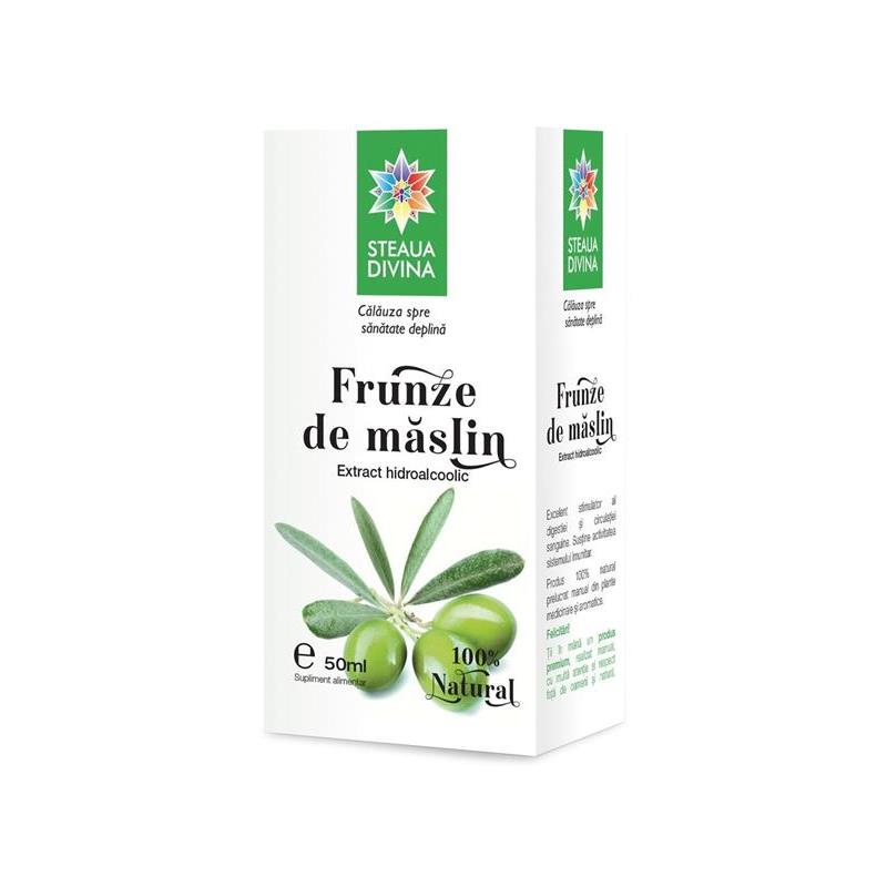 Tinctura Frunze de Maslin Santo Raphael 50ml