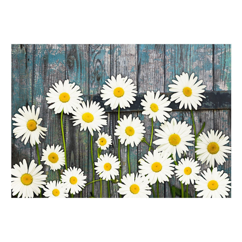 Fototapet vlies - Intoarcerea la inocenta - 250 x 175 cm