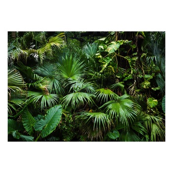 Fototapet vlies - Jungla Insorita - 100 x 70 cm Fototapet vlies - Jungla Insorita - 100 x 70 cm