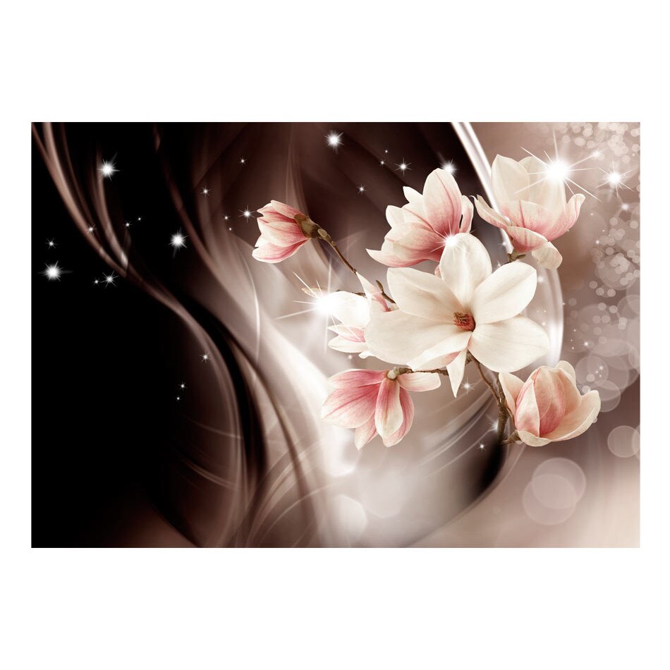 Fototapet vlies vlies - Magia noptii - 250 x 175 cm