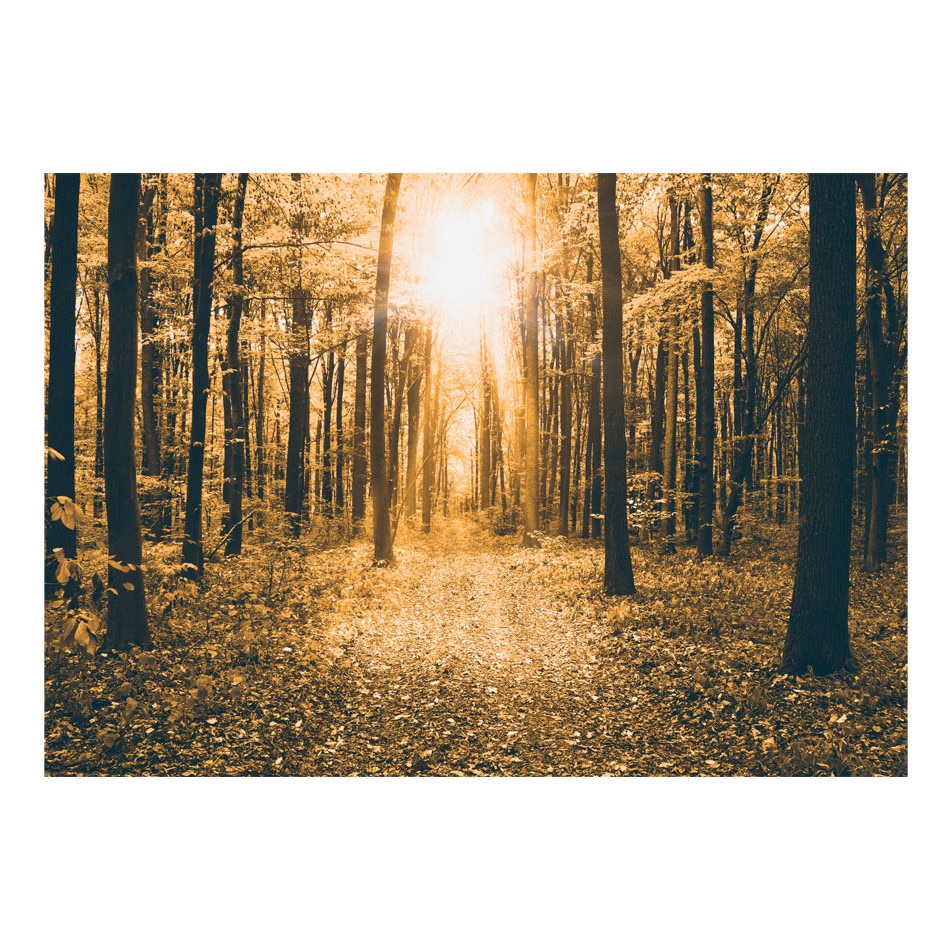 Fototapet vlies - Lumina magica - 200 x 140 cm