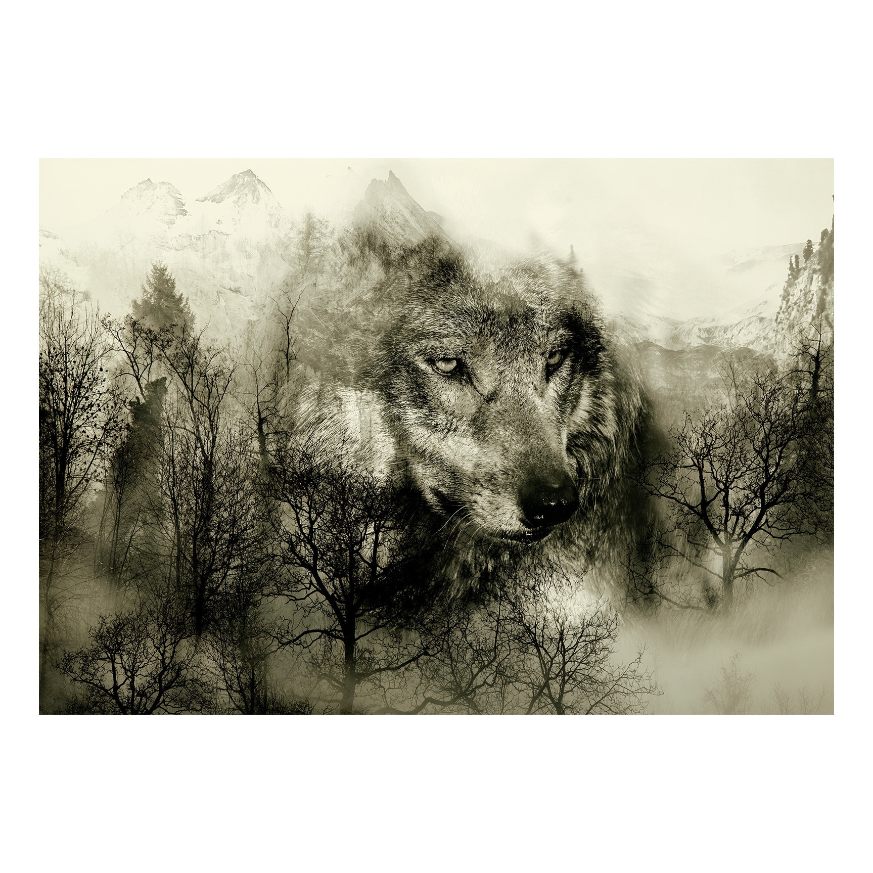 Fototapet vlies - Mountain Predator Beige - 400 x 280 cm