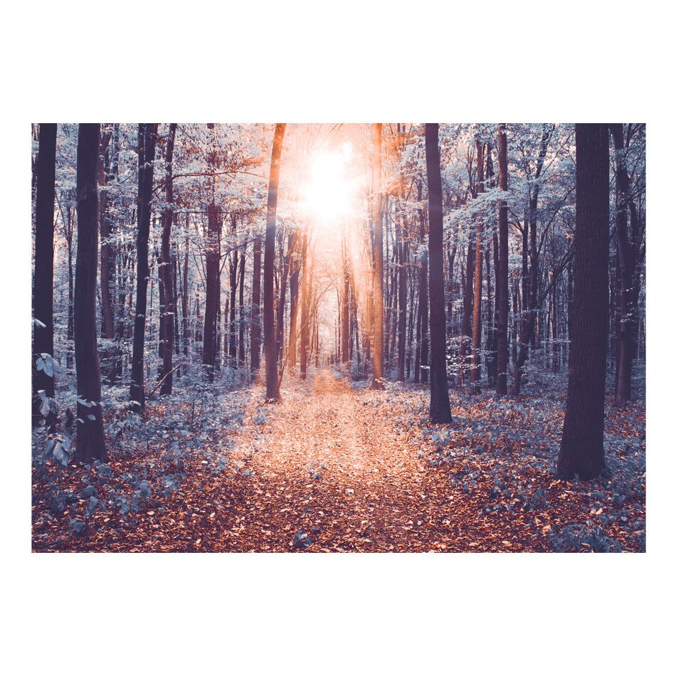 Fototapet vlies - Marginea Soarelui - 100 x 70 cm