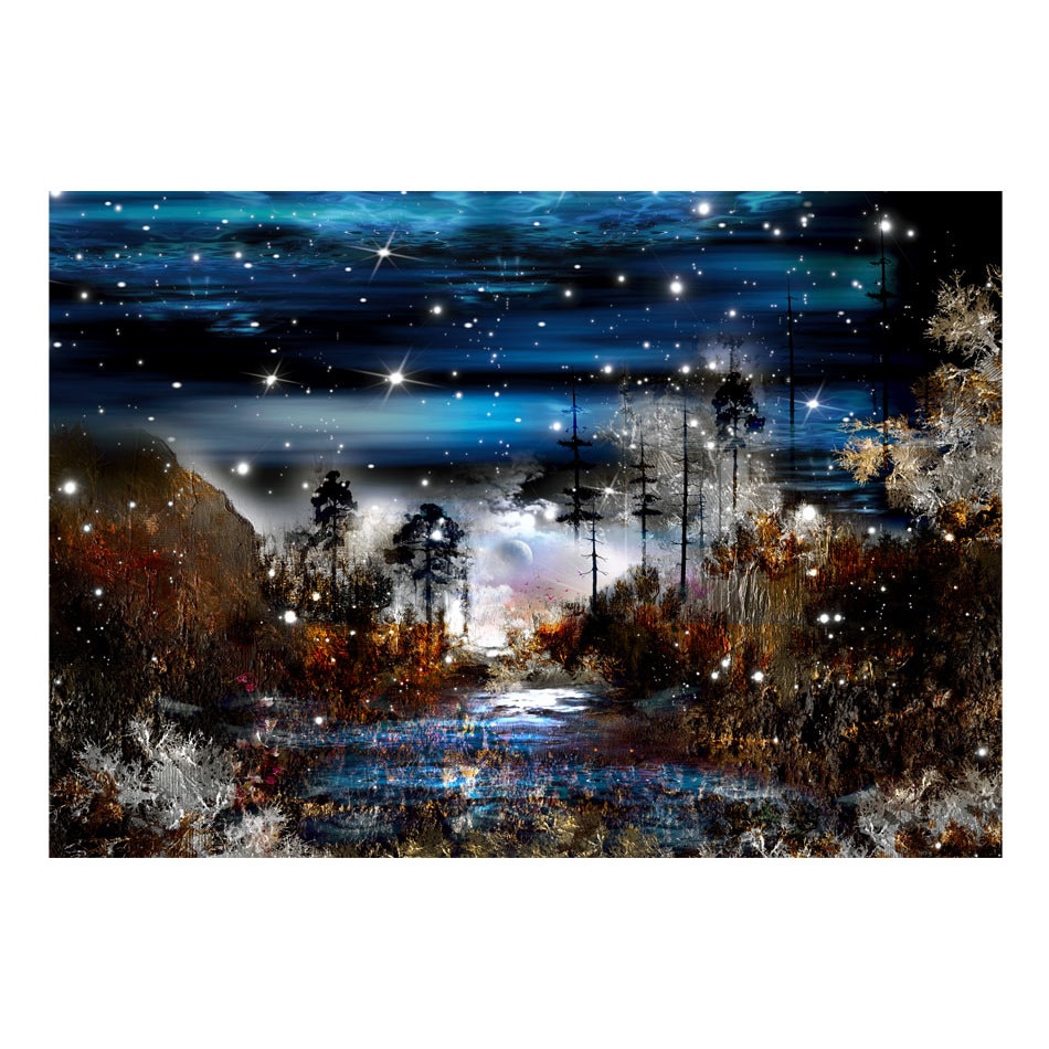 Fototapet vlies vlies - Noaptea In padure - 100 x 70 cm
