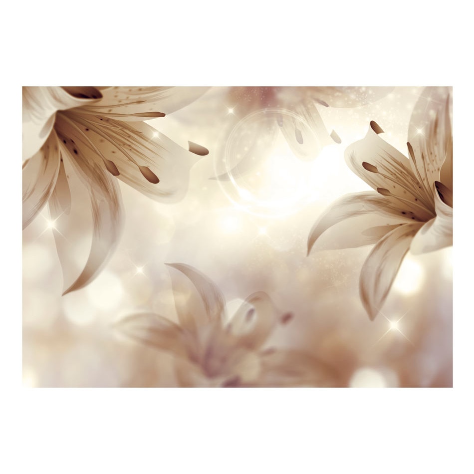 Fototapet vlies - Simfonia blanda - 150 x 105 cm