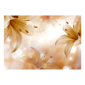 Fototapet vlies - Reginele verii - 250 x 175 cm Fototapet vlies - Reginele verii - 250 x 175 cm