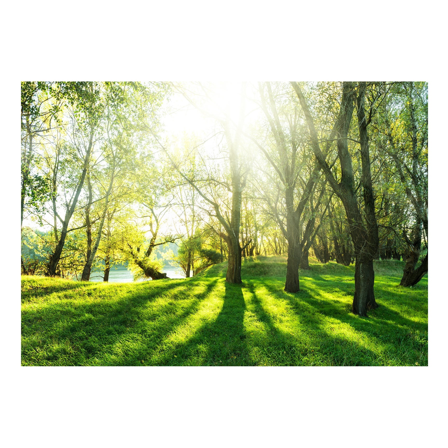 Fototapet vlies vlies - Ziua Insorita de mai - 300 x 210 cm