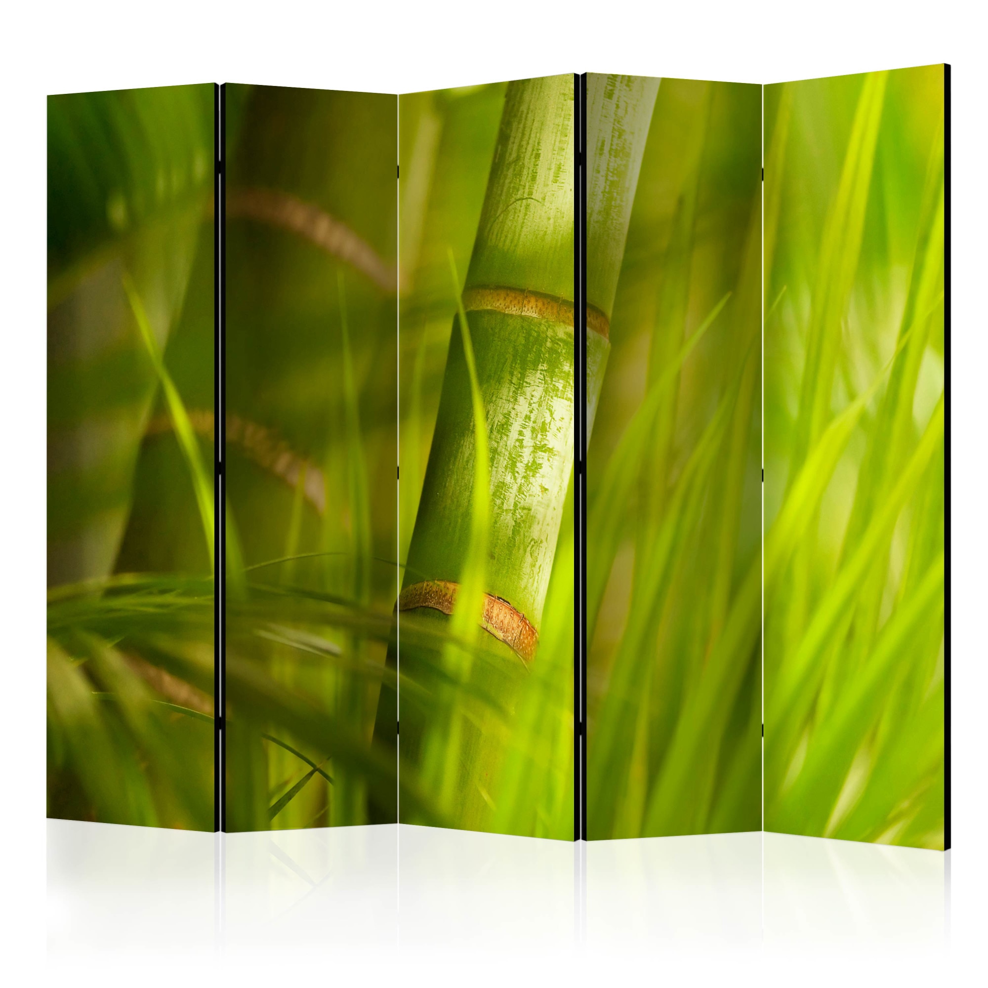 Paravan din 5 parti - Natura bambus zen - 225 x 172 cm