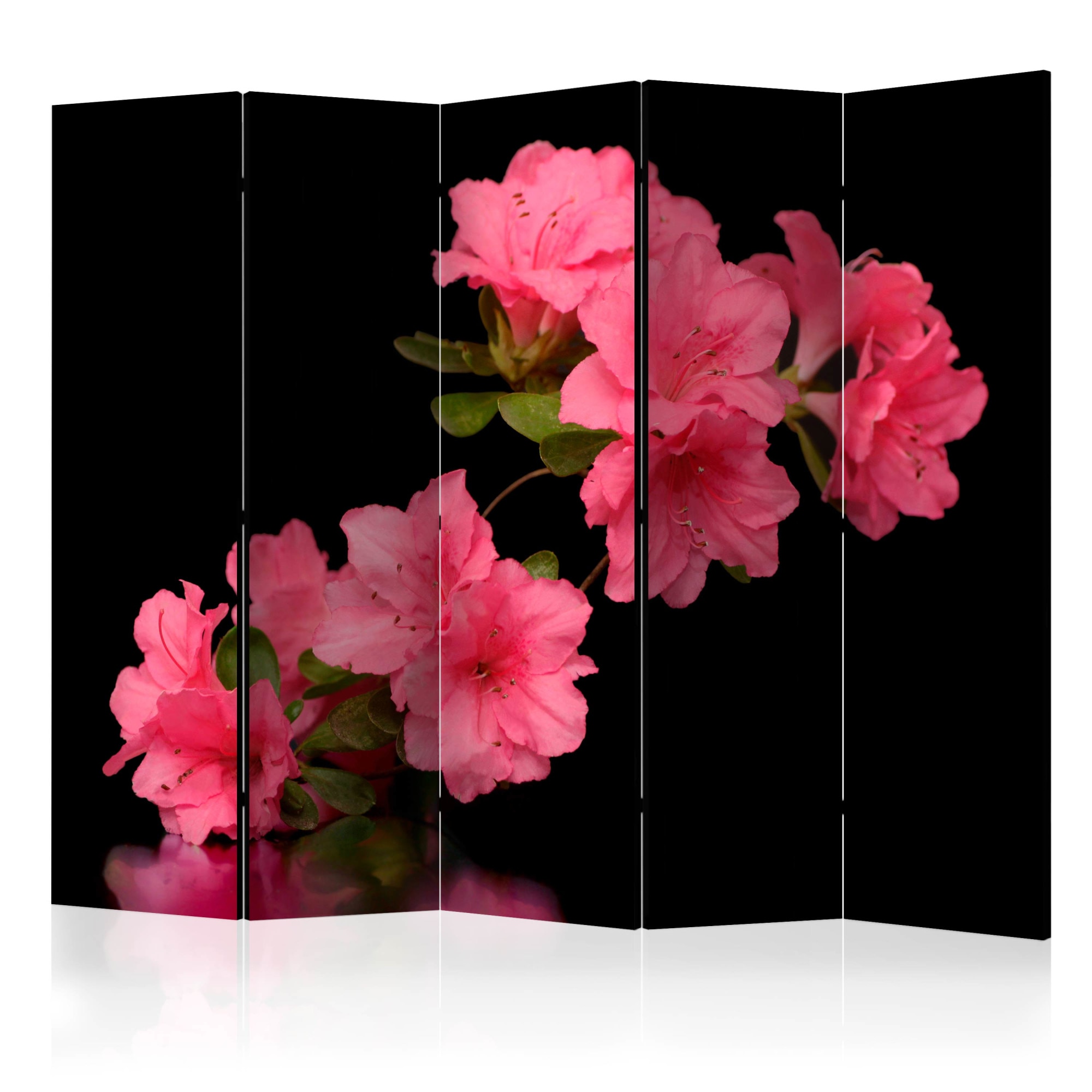 Paravan din 5 parti - Azalee neagra - 225 x 172 cm