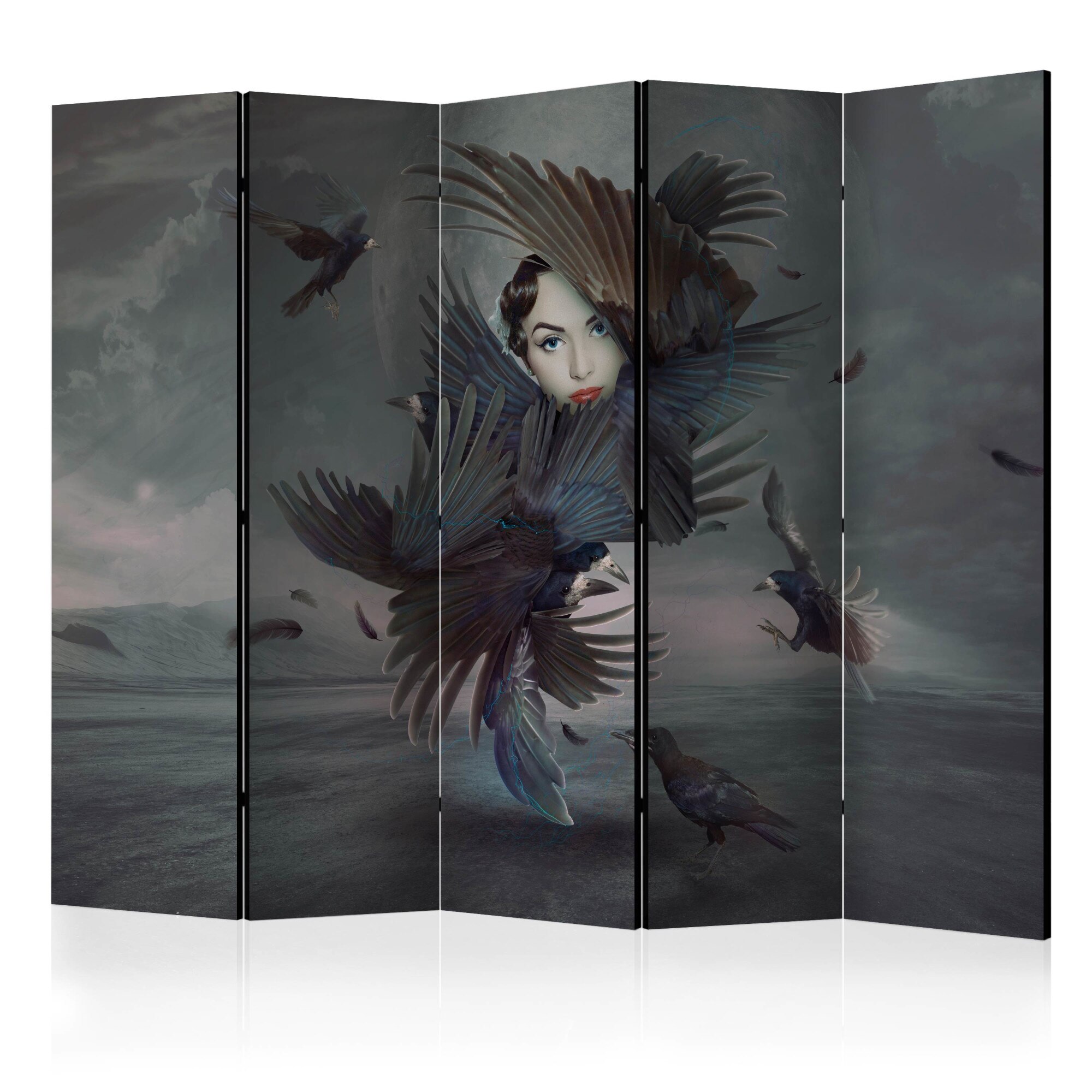 Paravan din 5 parti - Acoperit cu pene - 225 x 172 cm