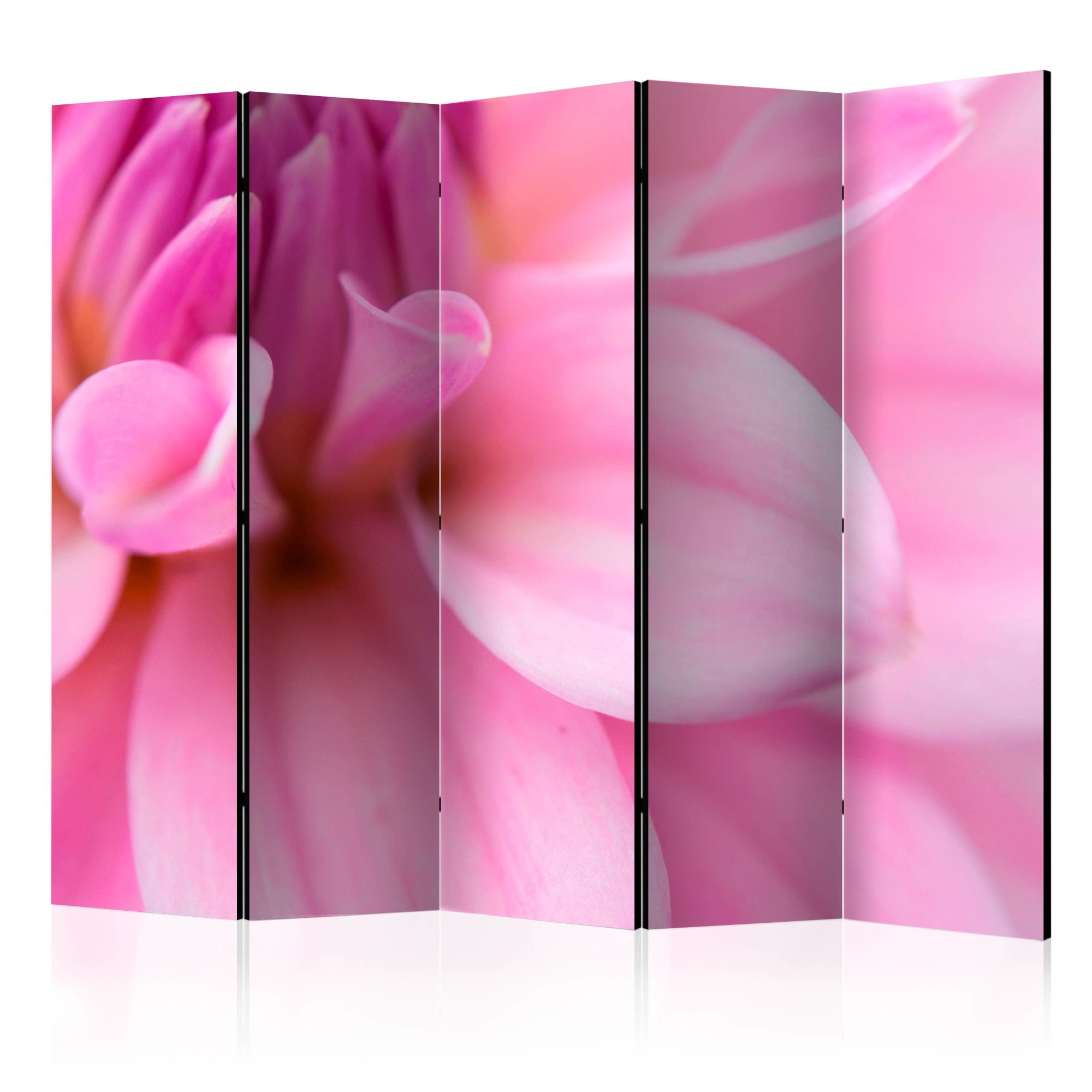 Paravan din 5 parti - Petale de flori dalie - 225 x 172 cm