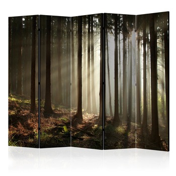 Paravan din 5 parti - Padure de conifere - 225 x 172 cm Paravan din 5 parti - Padure de conifere - 225 x 172 cm