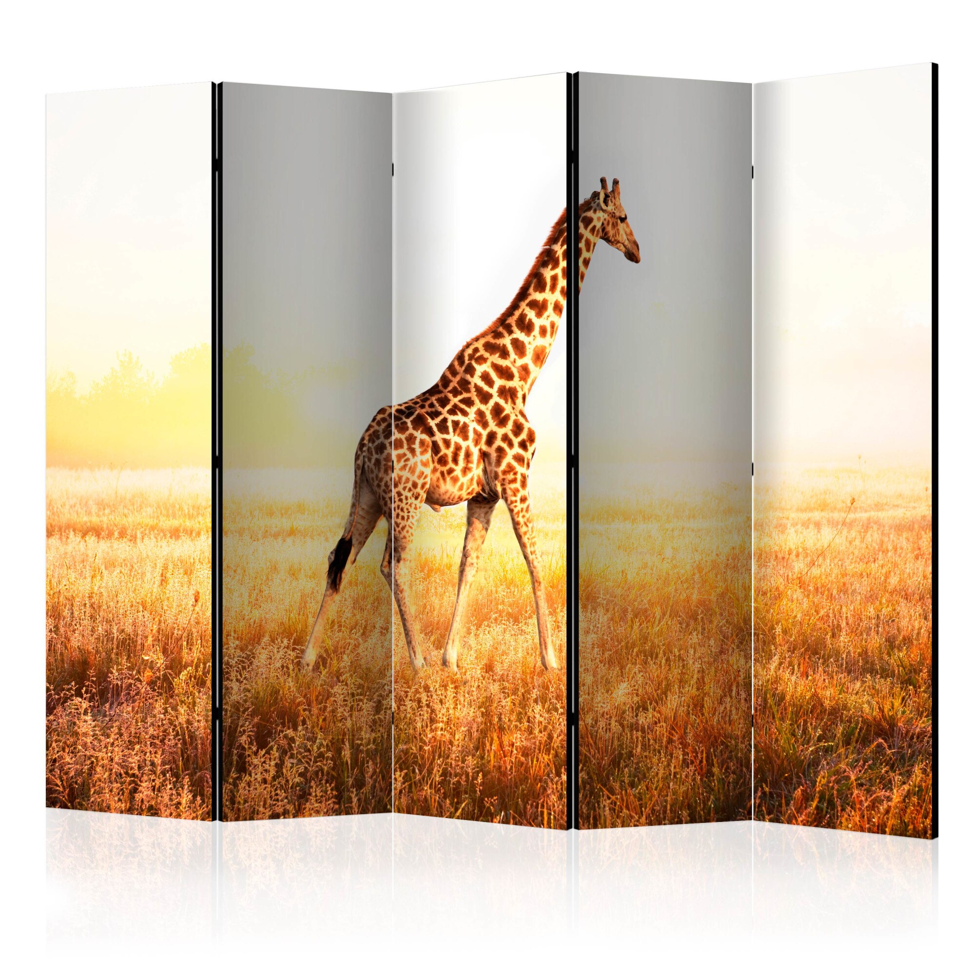 Paravan din 5 parti - Plimbare cu girafa - 225 x 172 cm