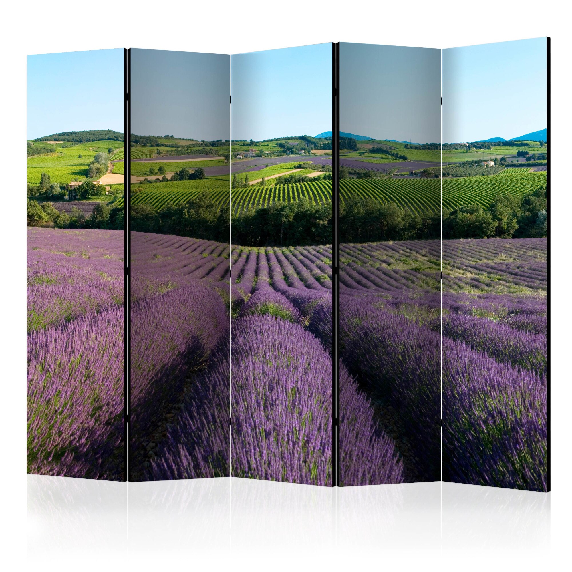 Paravan din 5 parti - Campuri de lavanda - 225 x 172 cm