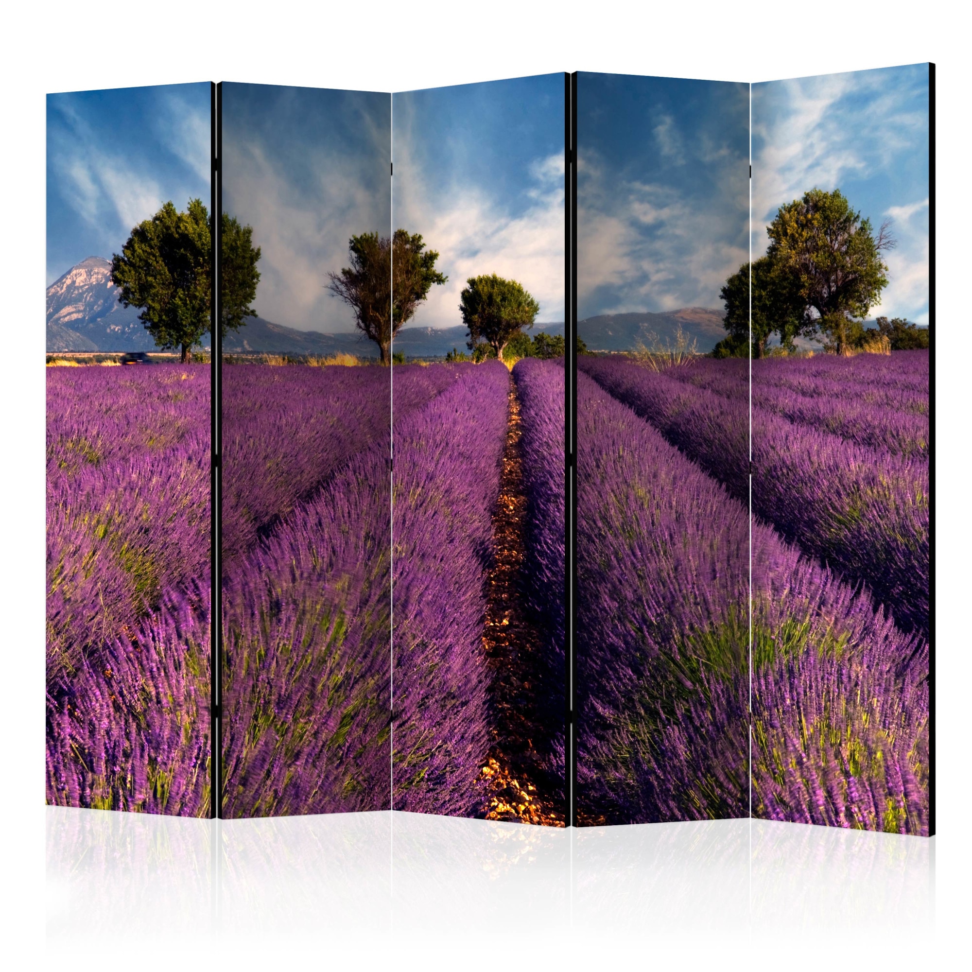 Paravan din 5 parti - Camp de lavanda In Provence, Franta - 225 x 172 cm