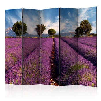 Paravan din 5 parti - Camp de lavanda In Provence, Franta - 225 x 172 cm Paravan din 5 parti - Camp de lavanda In Provence, Franta - 225 x 172 cm