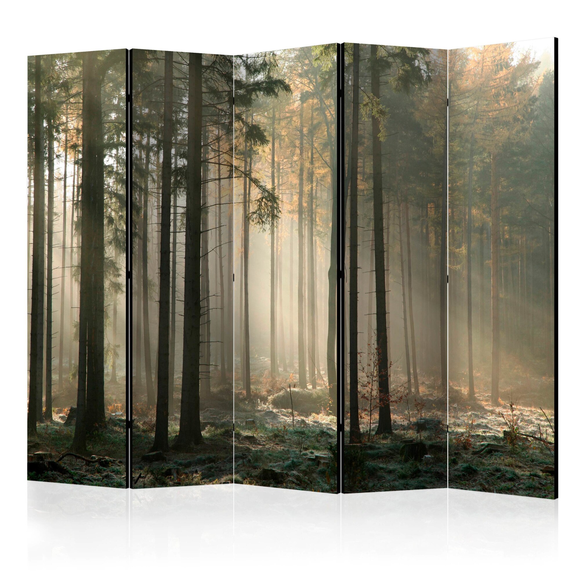 Paravan din 5 parti - Foggy noiembrie dimineata - 225 x 172 cm
