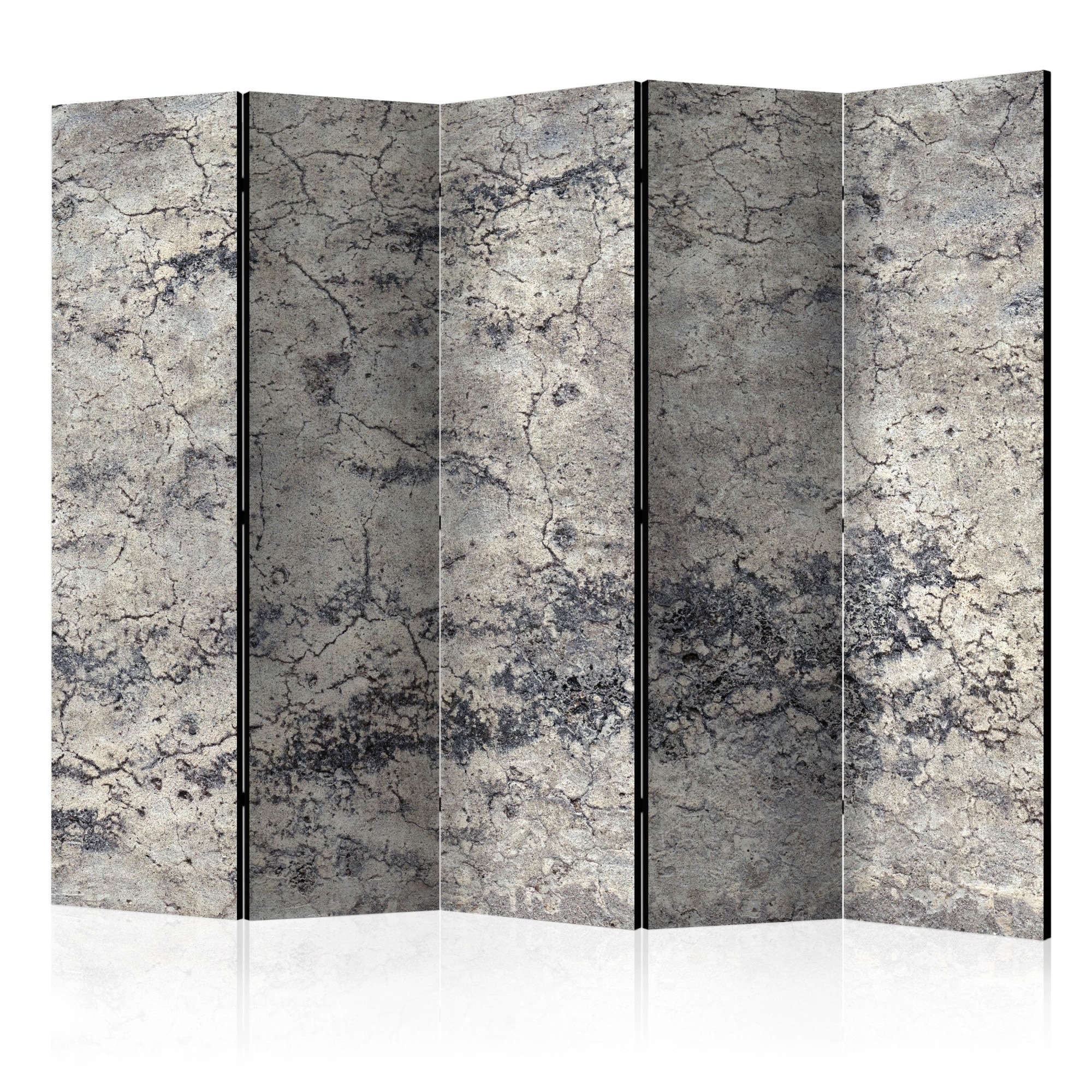Paravan din 5 parti - Grey Lady II - 225 x 172 cm