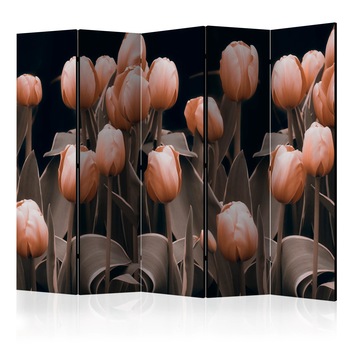 Paravan din 5 parti - Doamnelor printre flori - 225 x 172 cm Paravan din 5 parti - Doamnelor printre flori - 225 x 172 cm