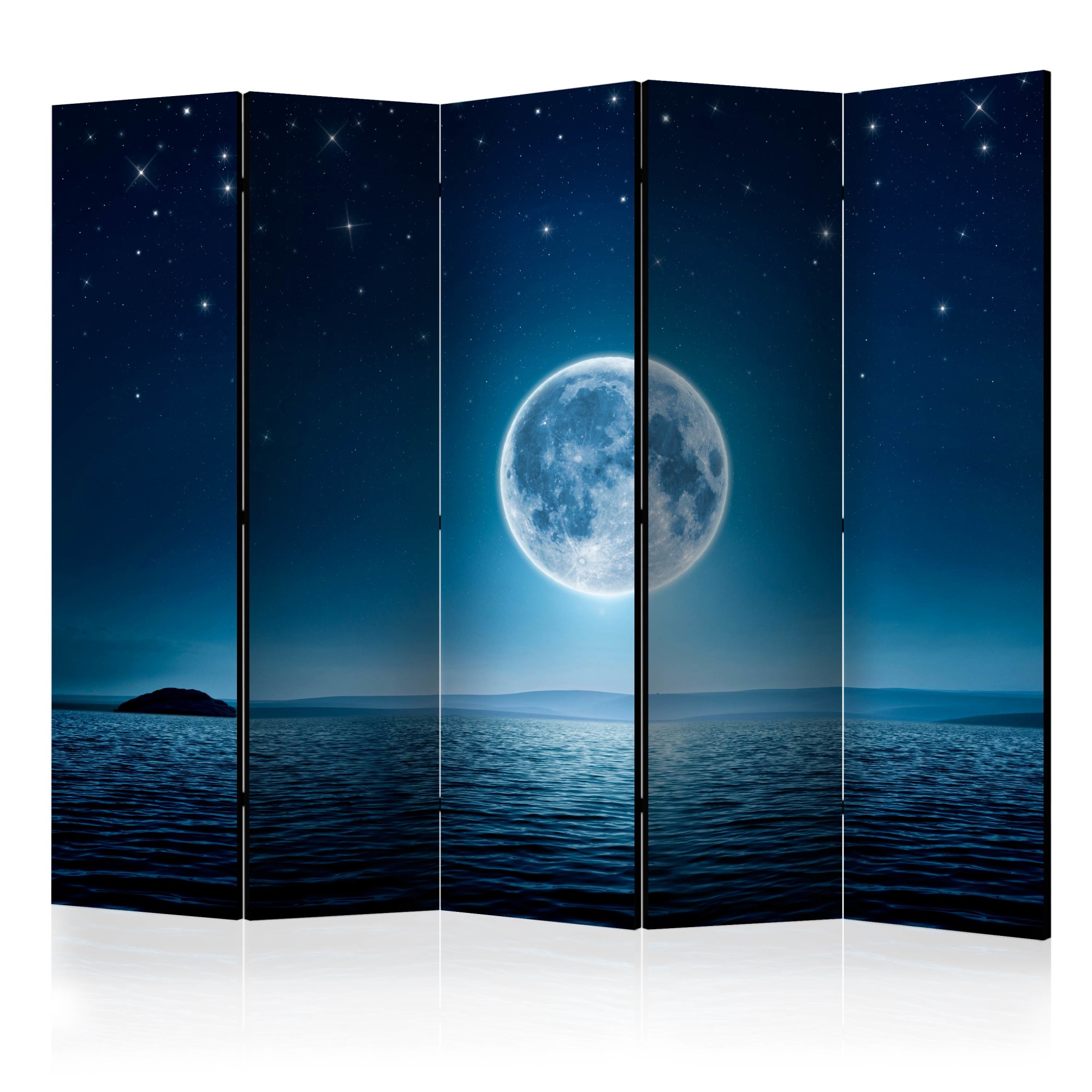 Paravan din 5 parti - Lumina lunii - 225 x 172 cm