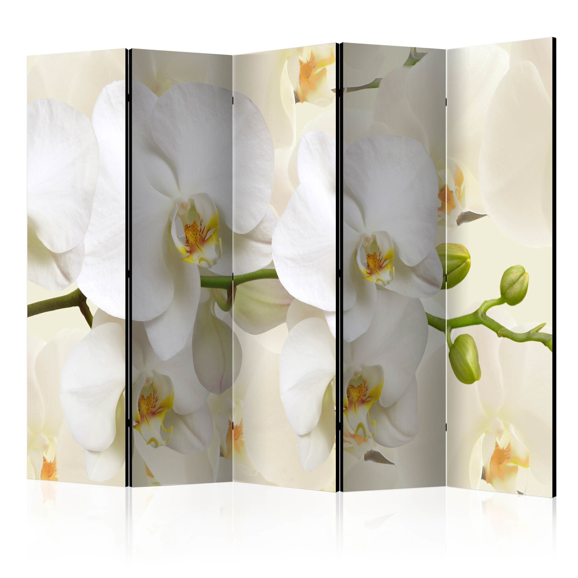 Paravan din 5 parti - Ramura de orhidee - 225 x 172 cm