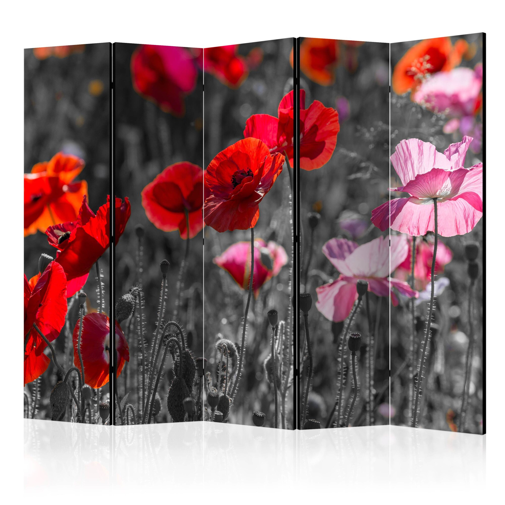 Paravan din 5 parti - Amice RoSii II - 225 x 172 cm