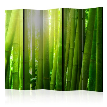 Paravan din 5 parti - Soarele Si bambusul - 225 x 172 cm Paravan din 5 parti - Soarele Si bambusul - 225 x 172 cm