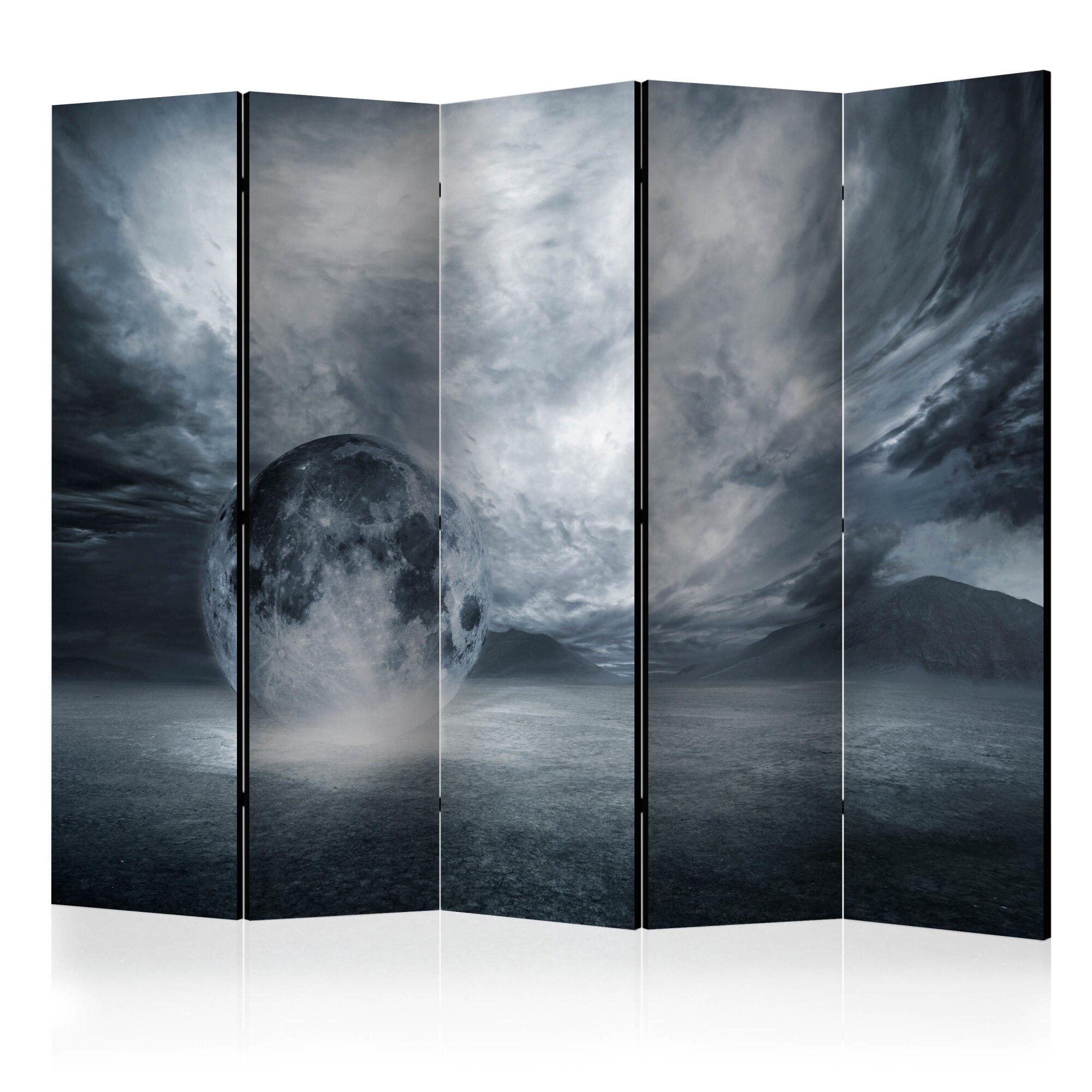Paravan din 5 parti - Planeta pierduta - 225 x 172 cm