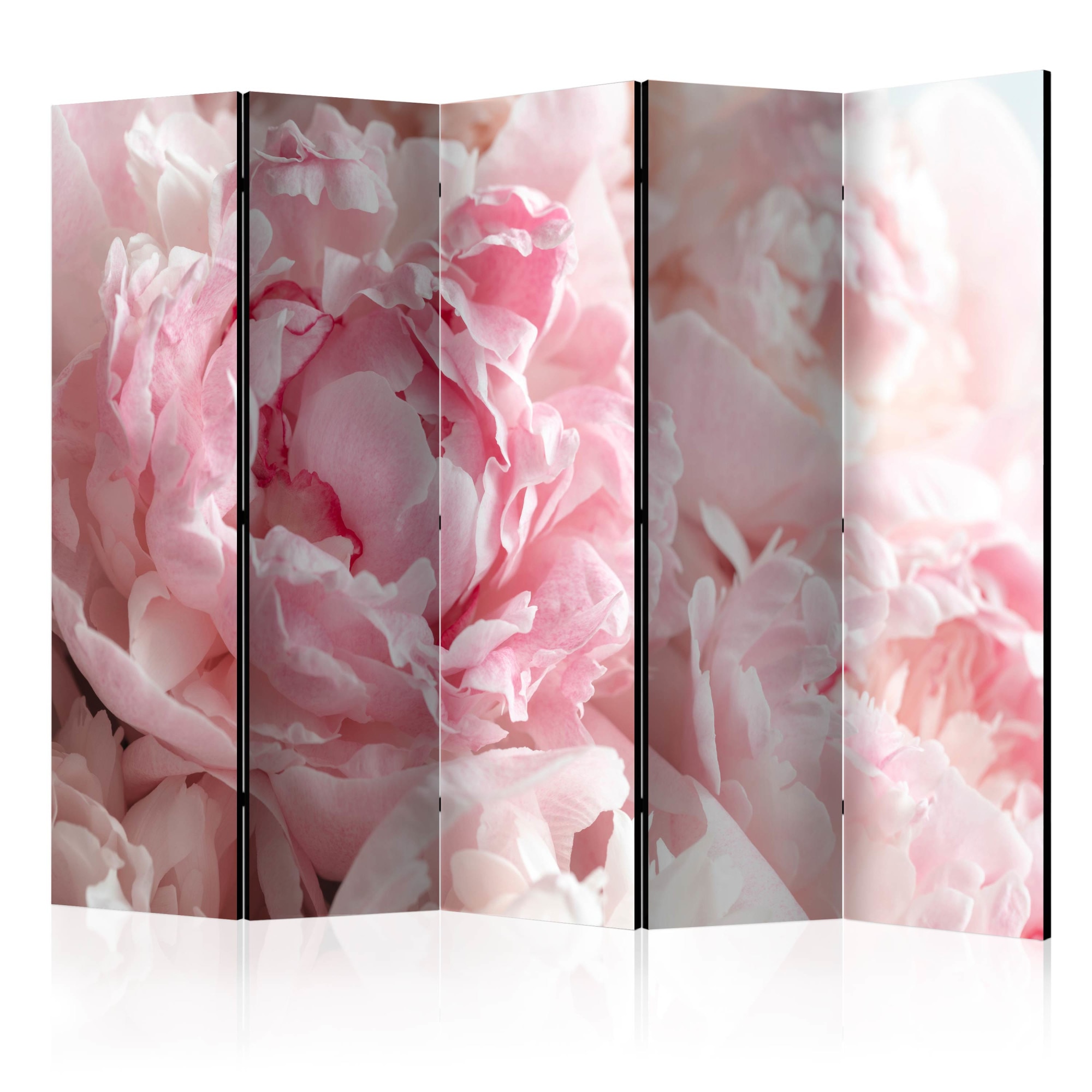 Paravan din 5 parti - Peonies dulci II - 225 x 172 cm