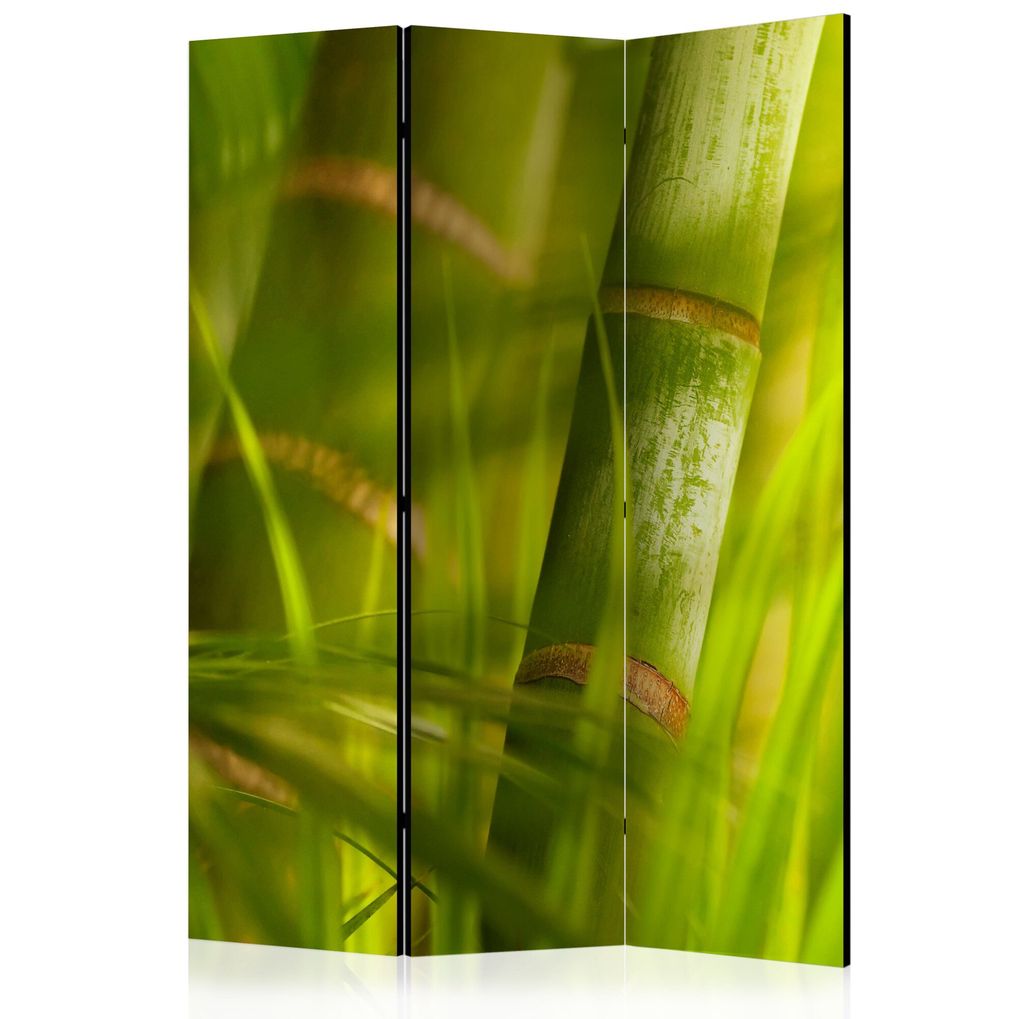 Paravan din 3 parti - Natura bambus zen - 135 x 172 cm