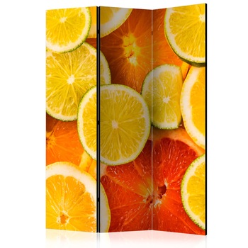 Paravan din 3 parti - Citrice - 135 x 172 cm Paravan din 3 parti - Citrice - 135 x 172 cm