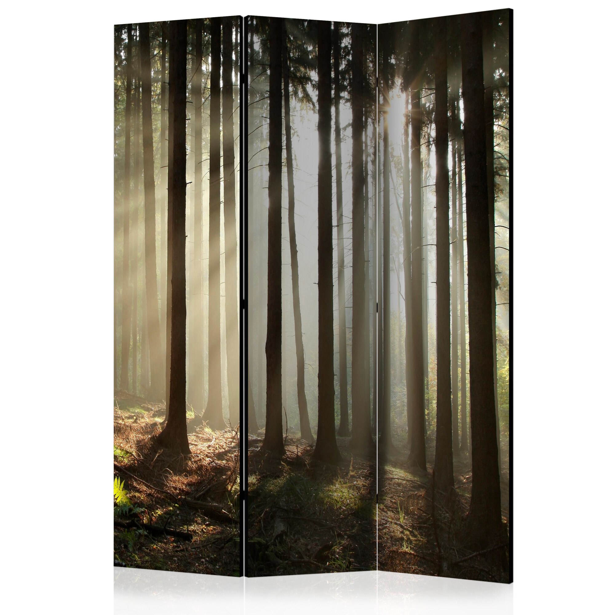 Paravan din 3 parti - Padure de conifere - 135 x 172 cm