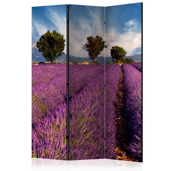 Paravan din 3 parti - Camp de lavanda In Provence, Franta - 135 x 172 cm Paravan din 3 parti - Camp de lavanda In Provence, Franta - 135 x 172 cm