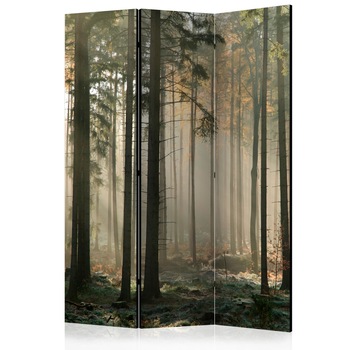 Paravan din 3 parti - Foggy noiembrie dimineata - 135 x 172 cm Paravan din 3 parti - Foggy noiembrie dimineata - 135 x 172 cm