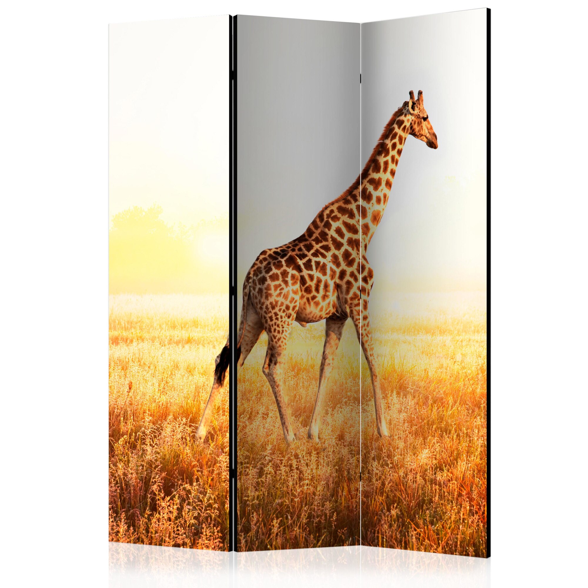 Paravan din 3 parti - Plimbare cu girafa - 135 x 172 cm