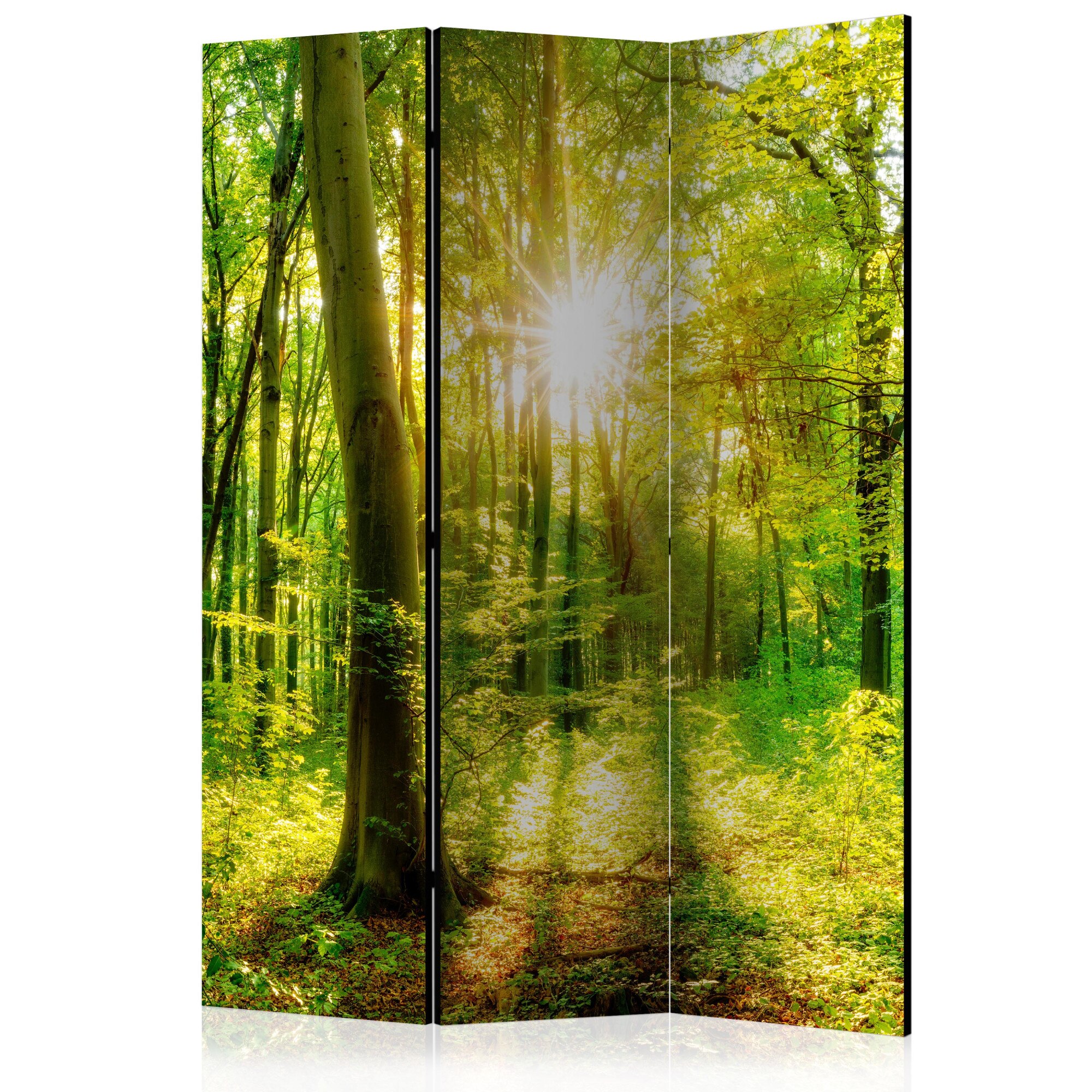 Paravan din 3 parti - Raurile de padure - 135 x 172 cm