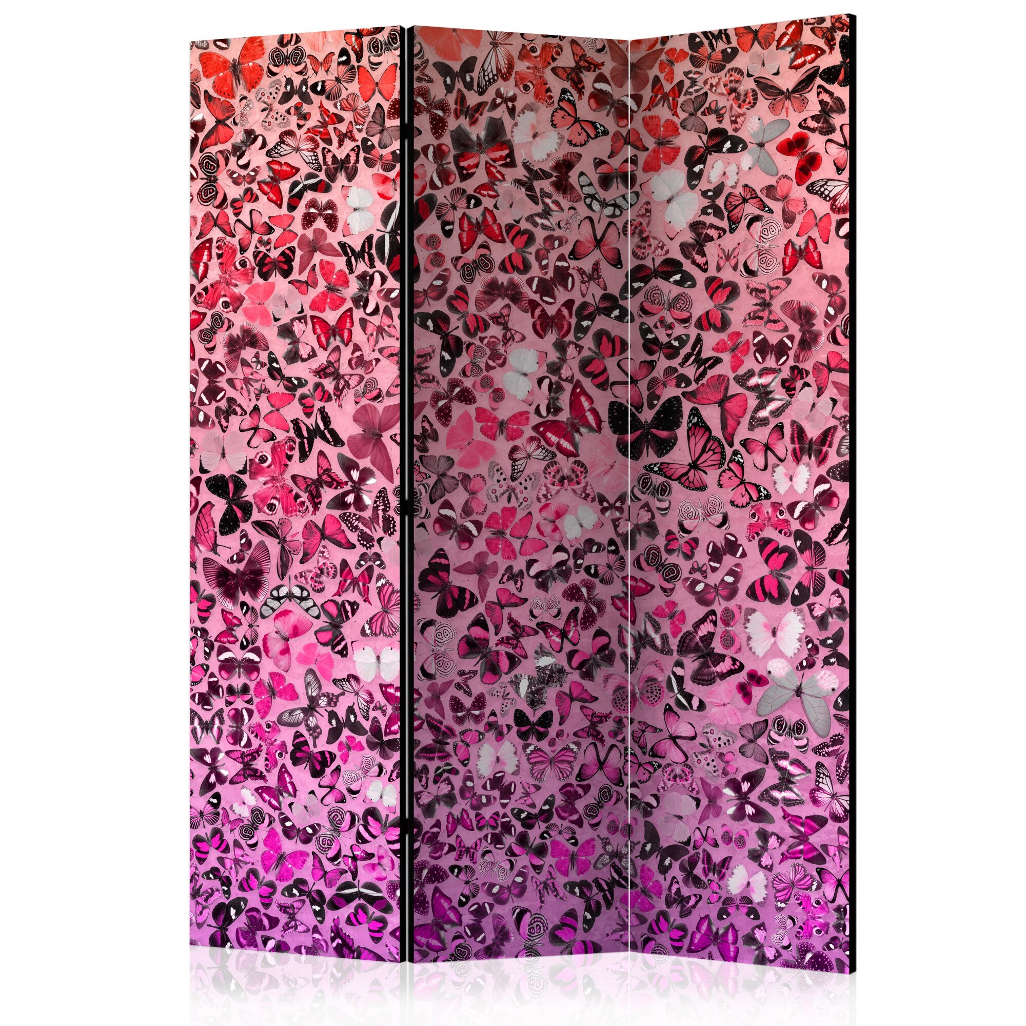 Paravan din 3 parti - Limbajul fluturilor - 135 x 172 cm