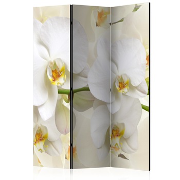 Paravan din 3 parti - Ramura de orhidee - 135 x 172 cm Paravan din 3 parti - Ramura de orhidee - 135 x 172 cm
