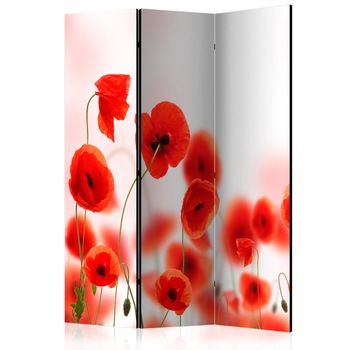 Paravan din 3 parti - Terenul macului adormit - 135 x 172 cm Paravan din 3 parti - Terenul macului adormit - 135 x 172 cm