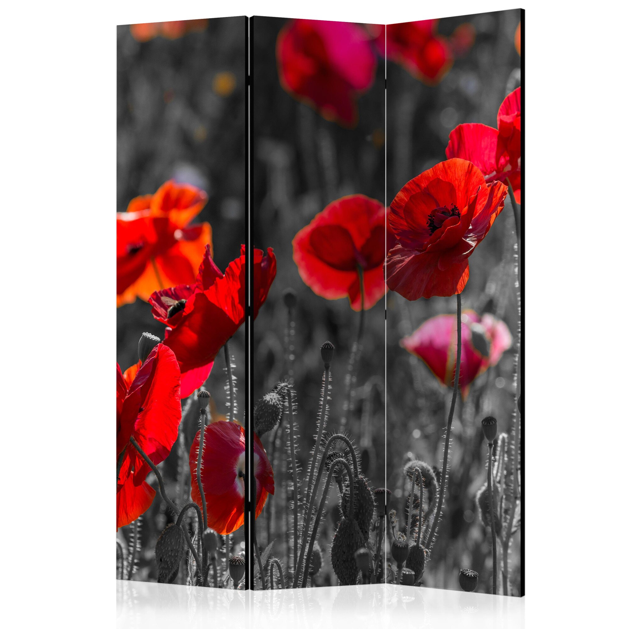 Paravan din 3 parti - Amice roSii - 135 x 172 cm