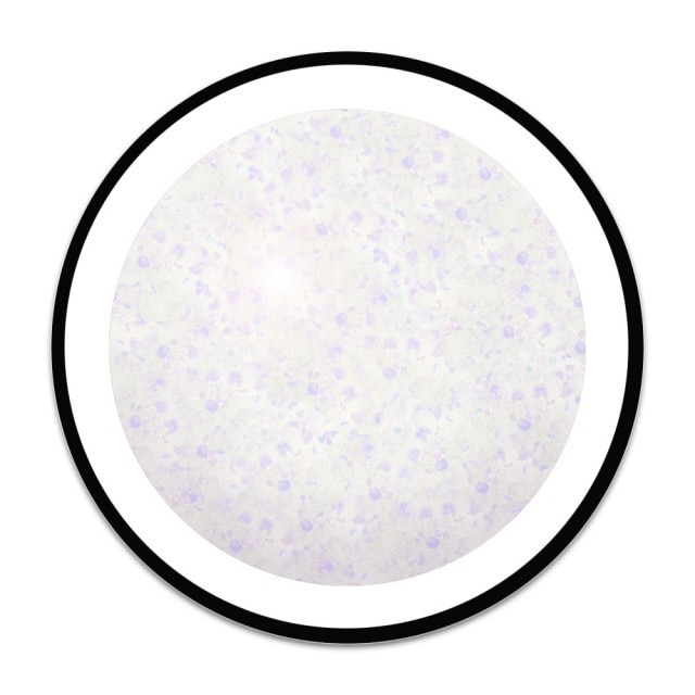 Geluri UV Color Royal Femme, Dazzling White Glitter, Geluri Colorate Unghii Royal, 5 gr