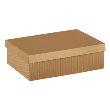 Cutie patrata cu capac mare 2buc Onda Avana 300*300*60mm RiBOX Cutie patrata cu capac mare 2buc Onda Avana 300*300*60mm RiBOX