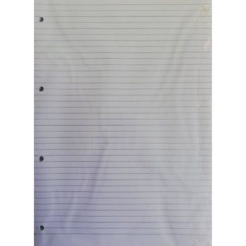 Rezerva Caiet Mecanic, A4, 100file ,dictando Rezerva Caiet Mecanic, A4, 100file ,dictando