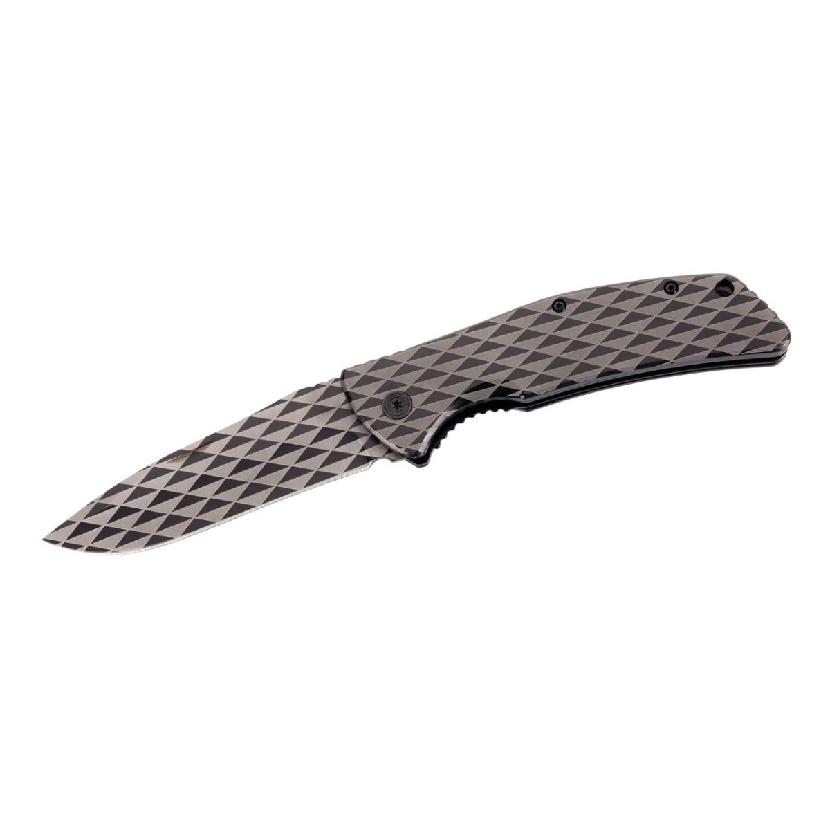 Briceag Herbertz 312111