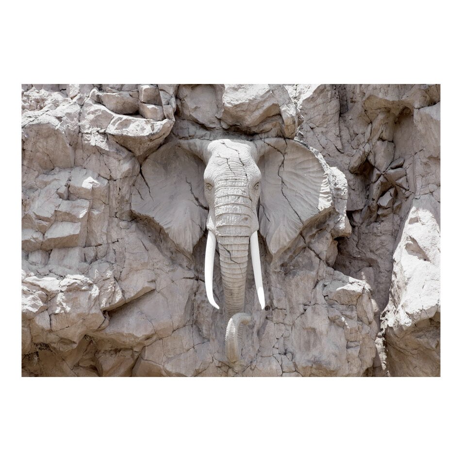 Fototapet vlies - Podul timpului Africa de Sud - 150 x 105 cm