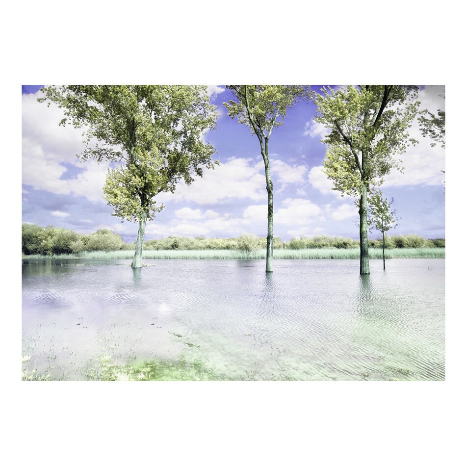 Fototapet vlies - Peisaj de primavara - 350 x 245 cm
