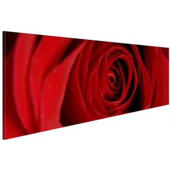 Tablou canvas - A crescut miezul noptii - 135 x 45 cm Tablou canvas - A crescut miezul noptii - 135 x 45 cm