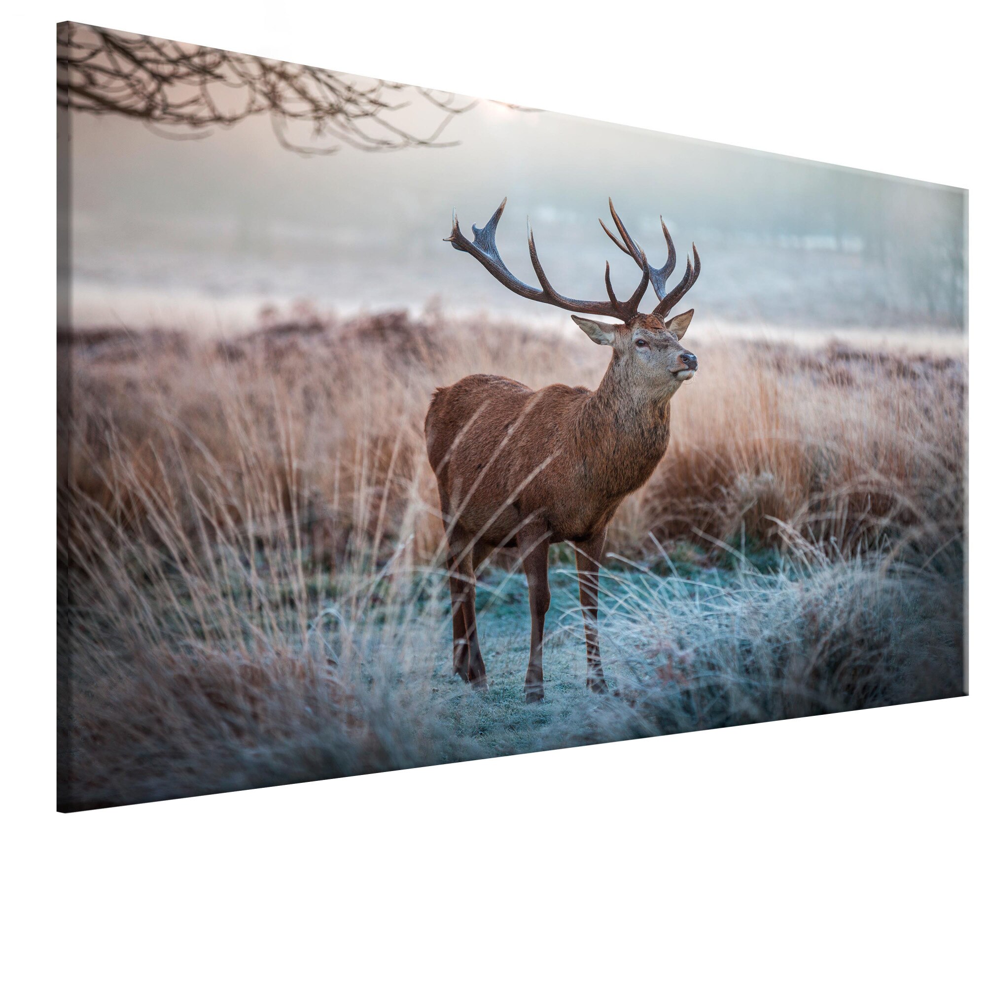 Tablou canvas - Animal salbatic - 90 x 60 cm